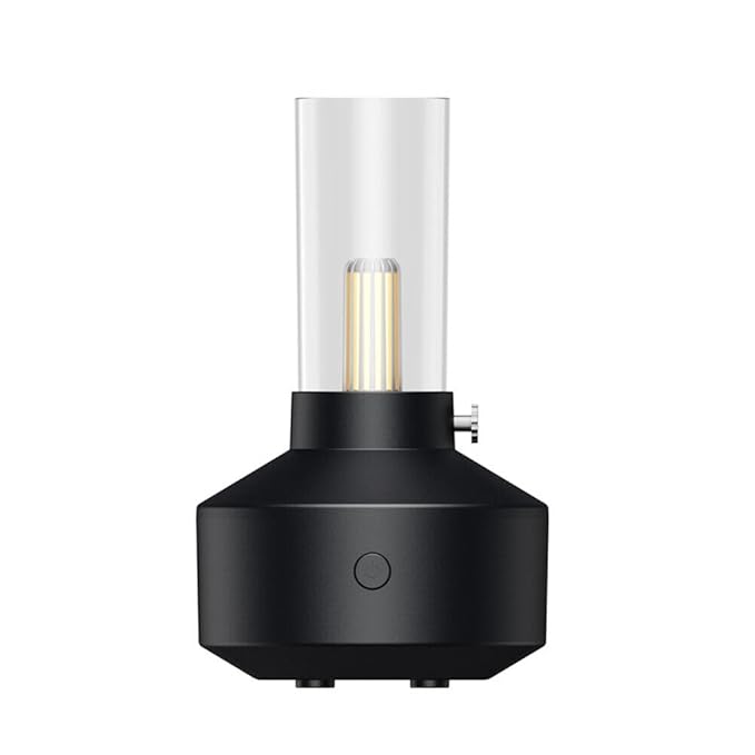Light Aroma Diffuser Essential Oil LED Light Filament Night Light Air Humidifier for Home