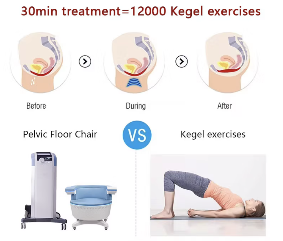 Pelvic Chair | Legal Chair | EMS Chair – Non-Invasive Pelvic Floor Strengthening & Incontinence Therapy System
