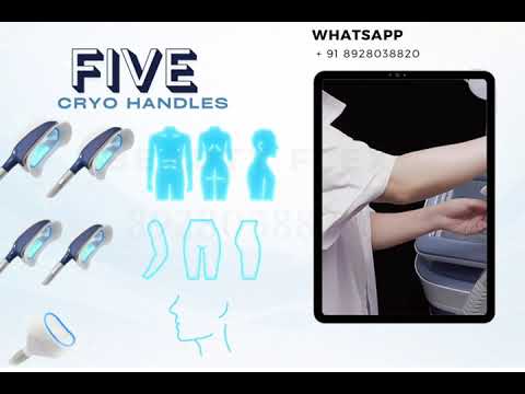 All in 1 Cryolipolysis Body Fat Reduction Machine Slimming Device